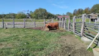 Země Keltů
