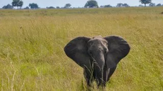Safari v srdci Afriky