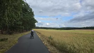 Flaeming inline