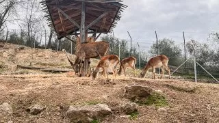 Ford trip, Parco Natura Viva