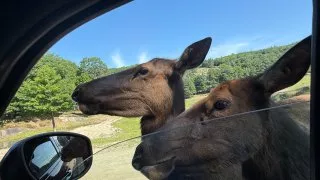 Fotr na tripu 10, Parc Omega