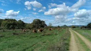 Balaton na gravelu