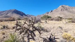 Carlsbad Caverns