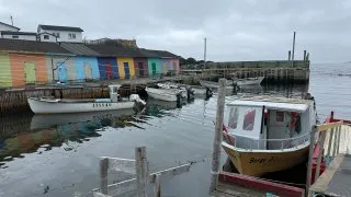 Fotr na tripu 10, Newfoundland