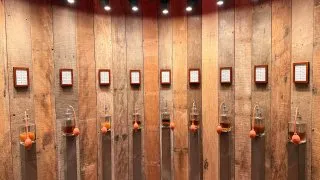 Fotr na tripu 11, Bruggy na talíři