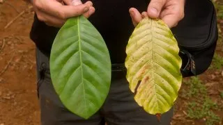 Laos 3