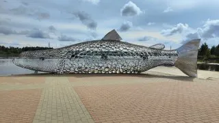 Napříč Finskem