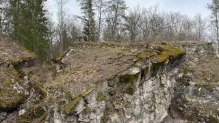 Fotr na tripu 9, Vlčí doupě