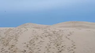Ford trip, Duna du Pyla