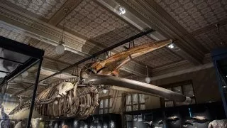 Národní muzeum Praha
