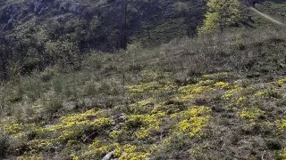 Česko, jižní Morava