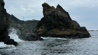 Fotr na tripu 10, velryby