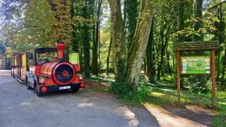 Tipy na výlety za vlaky