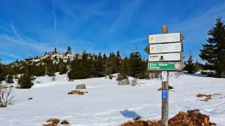 Třístoličník, Šumava