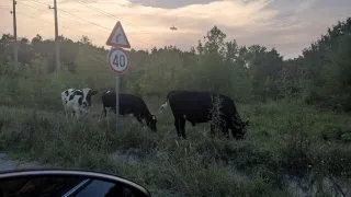 Balkánský roadtrip - 1. část