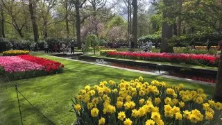 Keukenhof