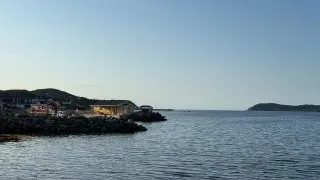 Fotr na tripu 10, velryby