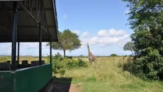 Safari v srdci Afriky