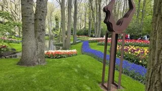 Keukenhof