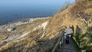 Fotr na tripu 9, Rujána