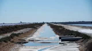 Ford trip, Camargue