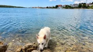 Fiatem Ulysse do Chorvatska na přístavní manévry