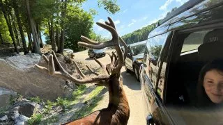 Fotr na tripu 10, Parc Omega