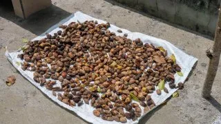 Maledivy - Thulusdhoo