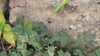 Balkánský roadtrip - 1. část