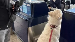 Fotr na tripu 10, odjezd