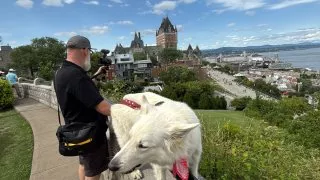 Fotr na tripu 10, Fairmonty