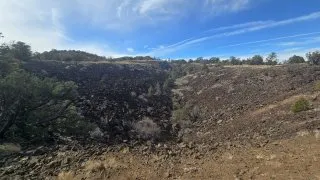 Gallup
