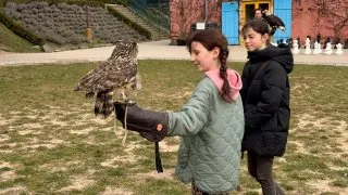 Fotr na tripu 11, Slovensko, sokolnická škola