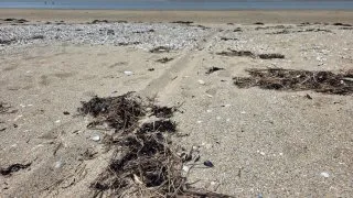 Normandie dělostřelecký granát