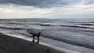 Fotr na tripu 9, Prora