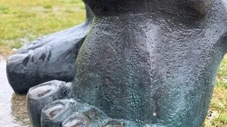 Fotr na tripu 9, Ostrov Saaremaa