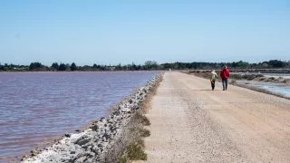 Ford trip, Camargue