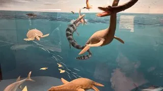 Fotr na tripu 10, dinosauři