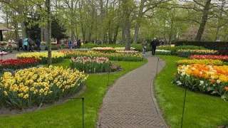 Keukenhof