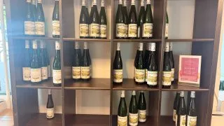 Fotr na tripu 11, Bernkastel-Kues a okolí