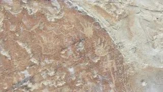 Gallup