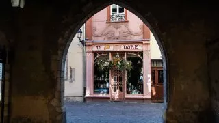 Ford trip, Colmar