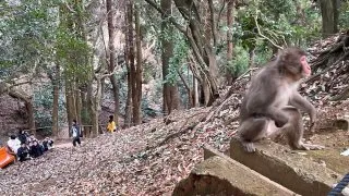 Japonsko_cestopis_2. část