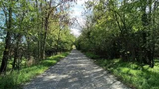 Balaton na gravelu