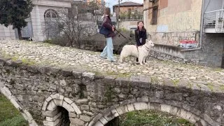 Fotr na tripu 11, Tirana