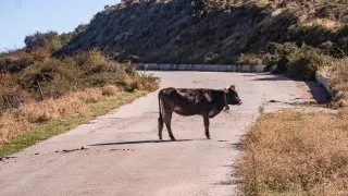 Dacia Bigster, trip Itálie, Bruncu Spina