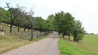 Točník a Žebrák