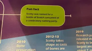 Fotr na tripu 10, dinosauři