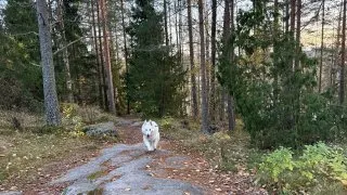 Fotr ve Finsku, design