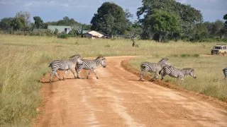 Safari v srdci Afriky